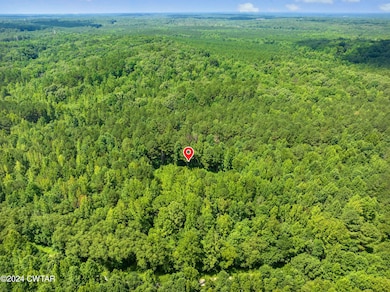 DJI_20240711113653_0696_D-Edit