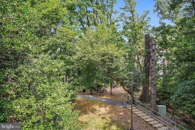 5901 Mount Eagle Dr unit 108, Alexandria, VA 22303 - photo 7