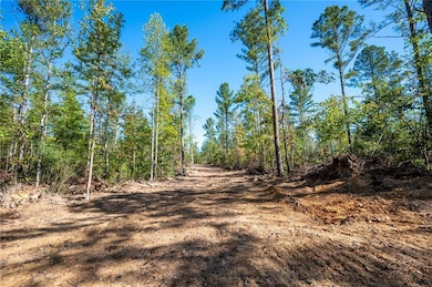 3789 Hwy 140 NE, Rydal, GA 30171 - photo 3