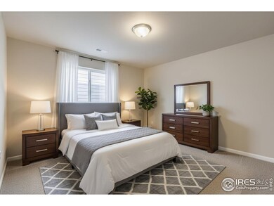 744 Wood Sorrel Ln, Fort Collins, CO 80524 - photo 7