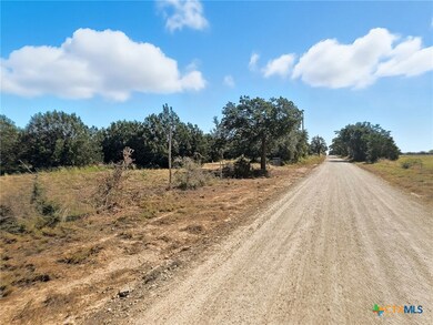 5698 County Road 102, Purmela, TX 76566 - photo 7