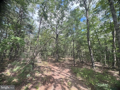 0 Supinlick Ridge Rd unit VASH2012594, Mount Jackson, VA 22842 - photo 4