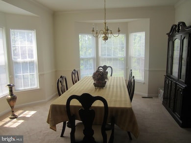 6915 S Dewey Ct, Fredericksburg, VA 22407 - photo 5