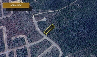 0 Timberlake Dr unit 25712620, Chipley, FL 32428 - photo 6