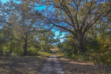 655 Vz Cr 2904, Eustace, TX 75124 - photo 6