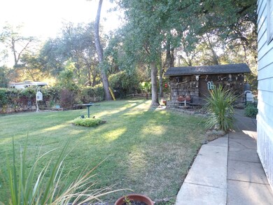 Backyard & Shed