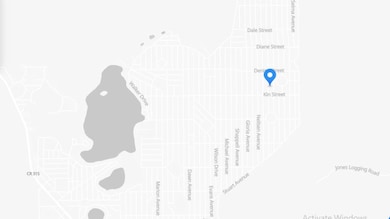 417 Theresa Ave, Interlachen, FL 32148 - photo 5