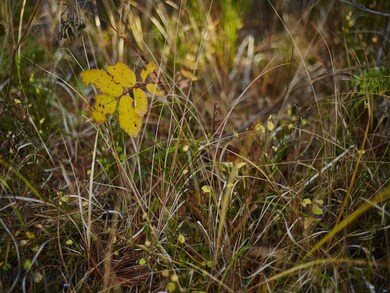 0 Hyalite Dr unit 208213, Big Sky, MT 59716 - photo 4