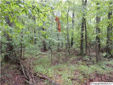 Plenty of woods for wildlife
