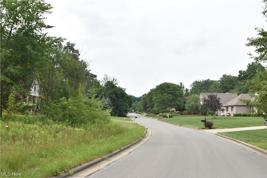 0 Saddlebrook Lot 153 Dr unit 4442592, Boardman, OH 44512 - photo 3