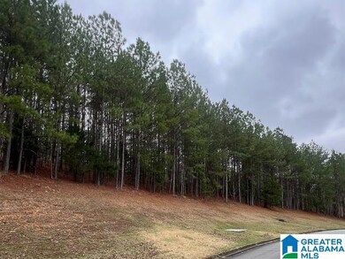 1410 Saint Andrews Pkwy unit 80 & 81, Oneonta, AL 35121 - photo 2