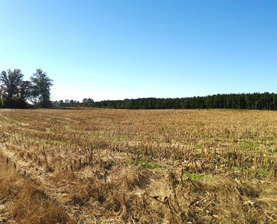 Tbd Concord Church Rd, Ellerbe, NC 28338 - photo 4