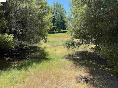 0000 Meadow Ln, Sonora, CA 95370 - photo 2