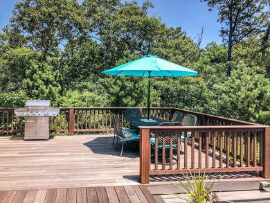 61 Bayes Hill Rd, Vineyard Haven, MA 02568 - photo 5