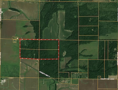 000 County Highway 7, Cisne, IL 62823 - photo 3