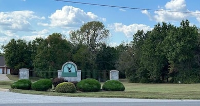 Lot 2 Deer Run Dr, Nevada, MO 64772 - photo 3