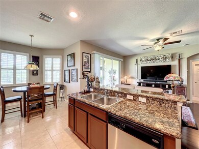 22031 Belgian Ct, Mount Dora, FL 32757 - photo 7