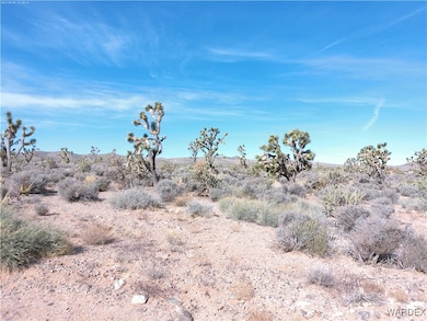 26225 Hummingbird Ln, Meadview, AZ 86444 - photo 3