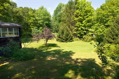 Great back yard