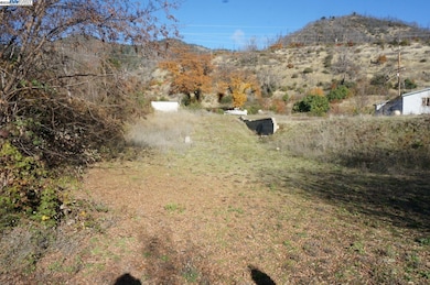 50 Acorn Ln, Junction City, CA 96048 - photo 5