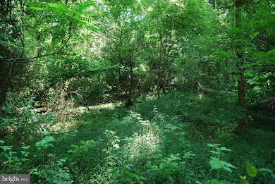 Lot 31A Dawn Ln, Shannondale, WV 25425 - photo 5