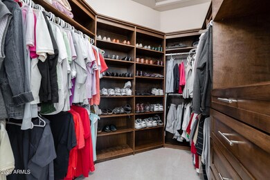 Designer Closet Organizer.