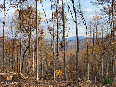 0 Bull Creek Lot K Rd, Huntsville, TN 37756 - photo 2