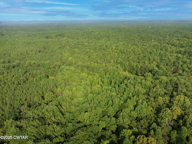 214 Arthur Byrd Rd, Pocahontas, TN 38061 - photo 3