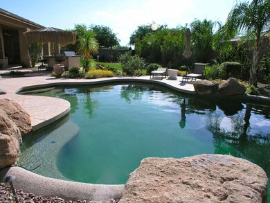 C:\fakepath\Pool - Natural Stone around