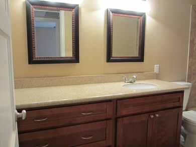 new granite counter, sink, fixture