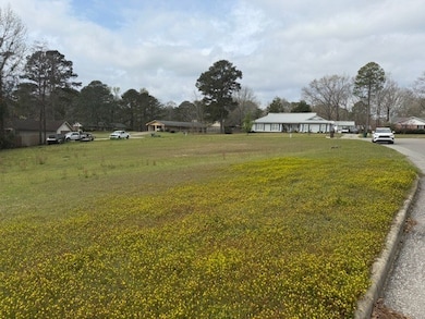 0 Newmont & Irwinton Dr unit 27243, Eufaula, AL 36027 - photo 2