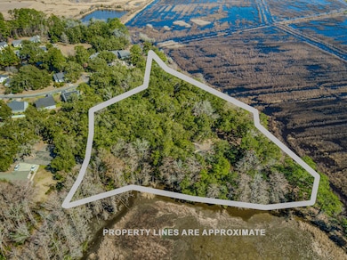 762 Wraggs Ferry Rd, Georgetown, SC 29440 - photo 3