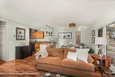 106 Swinging Bridge Ln unit B, Basalt, CO 81621 - photo 3