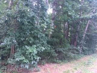0 E Balfour Ave, Asheboro, NC 27203 - photo 4