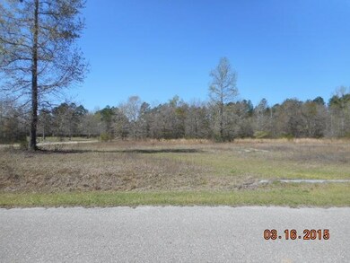 0 Sweetwater Cir unit 249833, Crawfordville, FL 32327 - photo 5