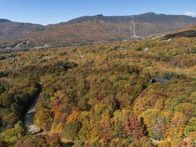 0 Billings Hill Rd unit lot 38, Stowe, VT 05672 - photo 6