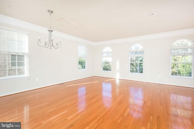 533 Spectator Ave, Hyattsville, MD 20785 - photo 4