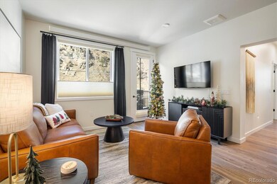 2121 Hummingbird Way unit 201, Georgetown, CO 80444 - photo 2