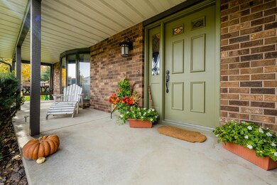 Tanbark-103