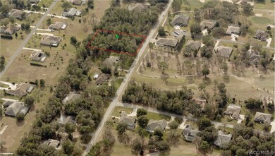 1217 N Annapolis Ave, Hernando, FL 34442 - photo 4