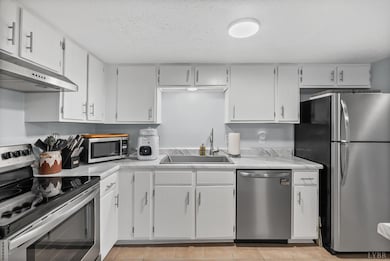 20 Cape Henry Ct, Lynchburg, VA 24502 - photo 6