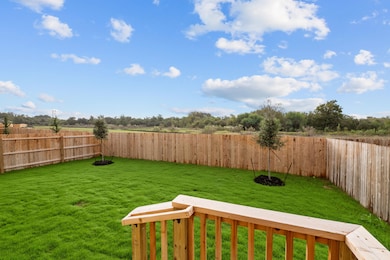 Backyard - Representational Photo