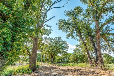 TBD Hott Ln, Weatherford, TX 76088 - photo 5