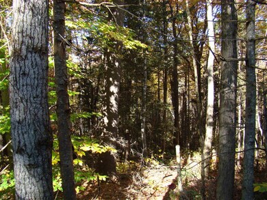 4 Ghastly Job Way unit 4, Wilmington, VT 05363 - photo 6