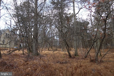 Lot D1922 N Old Stage Rd, Albrightsville, PA 18210 - photo 3