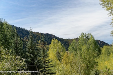 39 Roaring Fork Dr, Aspen, CO 81611 - photo 5