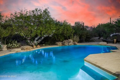 Pool - 685154_16 Coyote