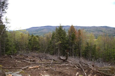 0 Mosquito Schoolhouse Rd unit 4951885, Newport, NH 03773 - photo 4