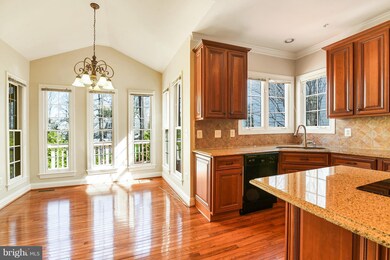 6820 Moly Dr, Falls Church, VA 22046 - photo 6