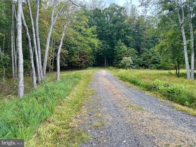 LOT 2A Lookout Ln, Culpeper, VA 22713 - photo 4